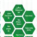 Tokenomics Consulting Icon